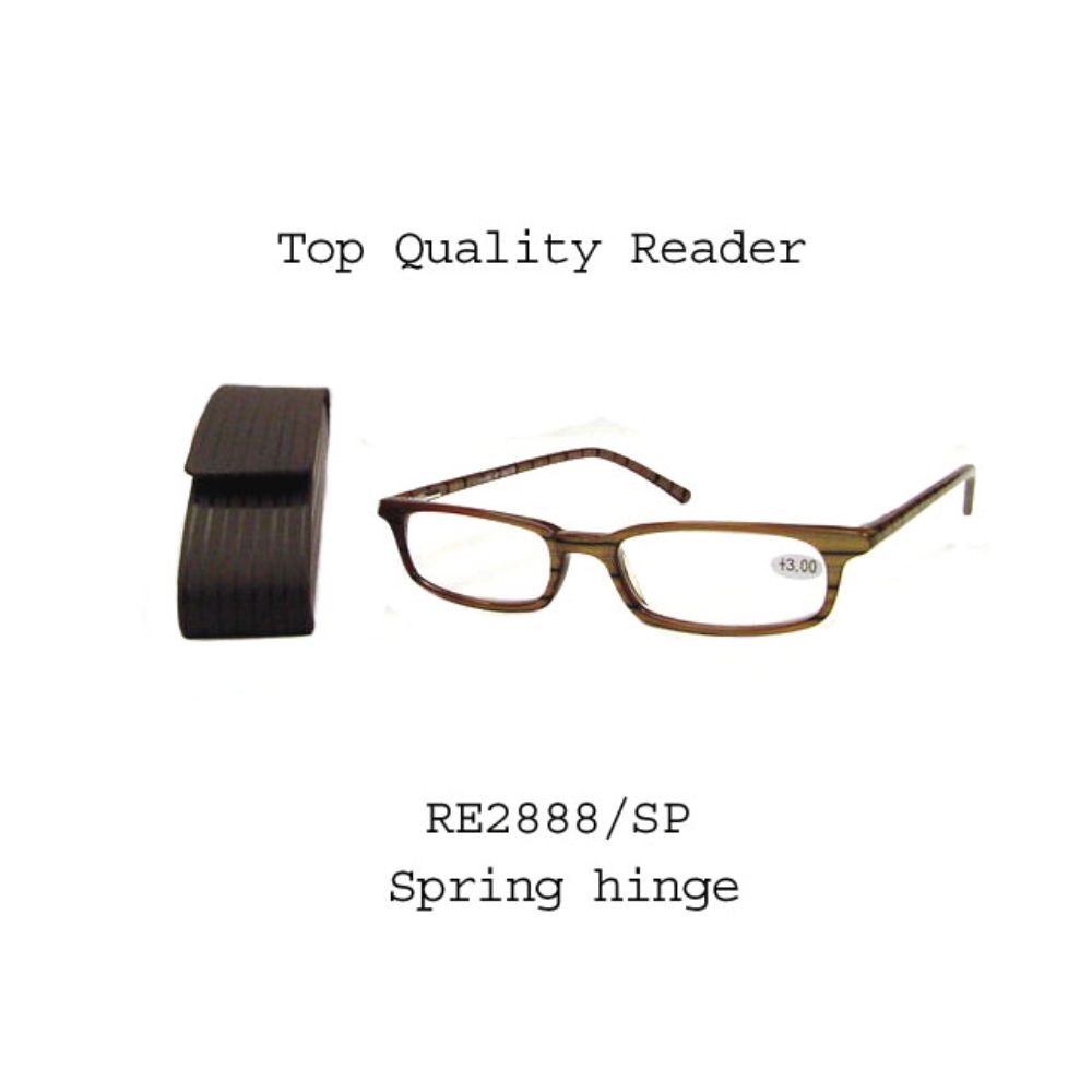 
                  
                    CLEAR READER | RE2888/SP
                  
                