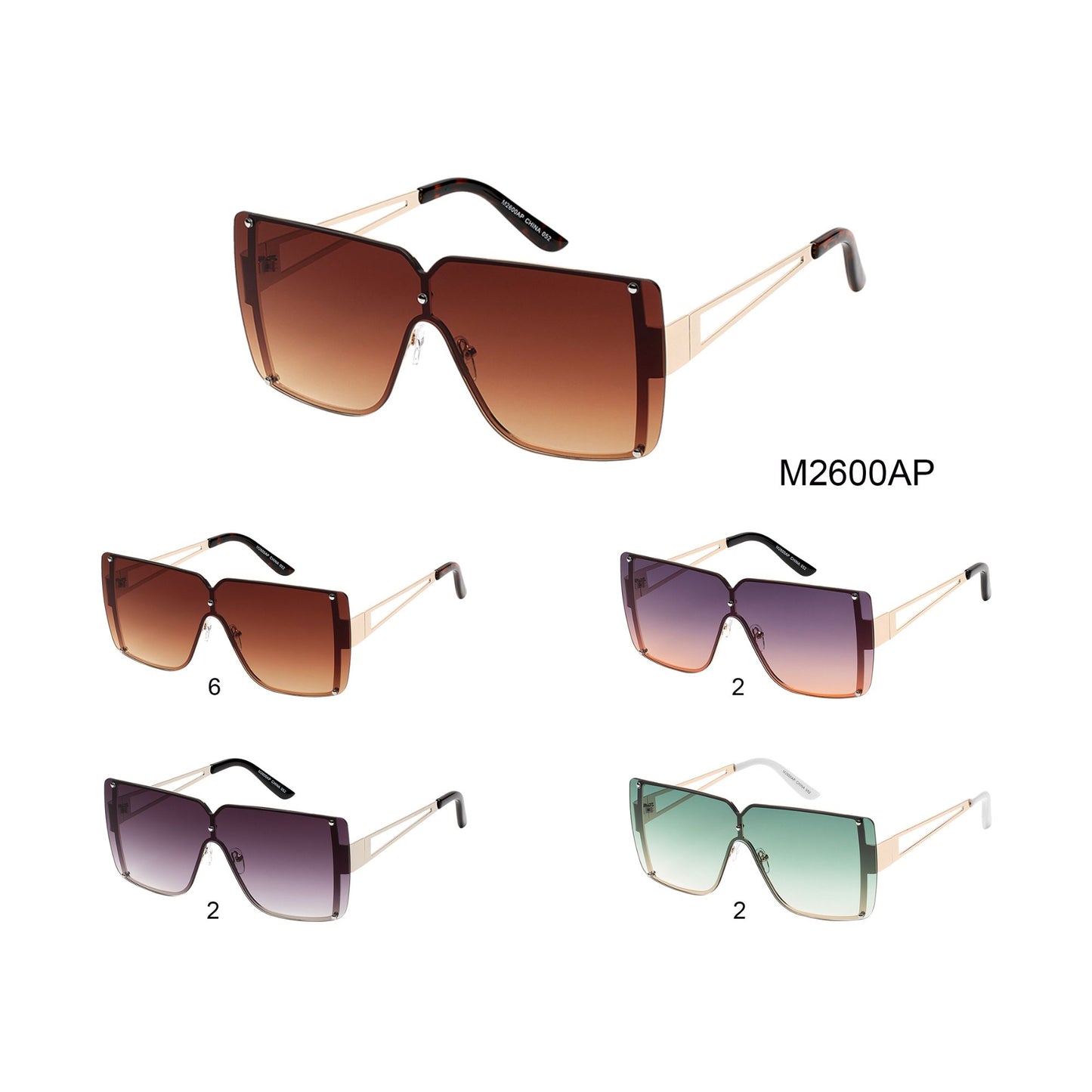 
                  
                    SUNGLASS | M2600AP
                  
                