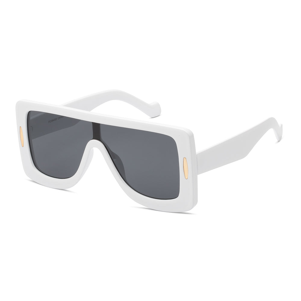 
                  
                    SUNGLASS | P2384SD
                  
                