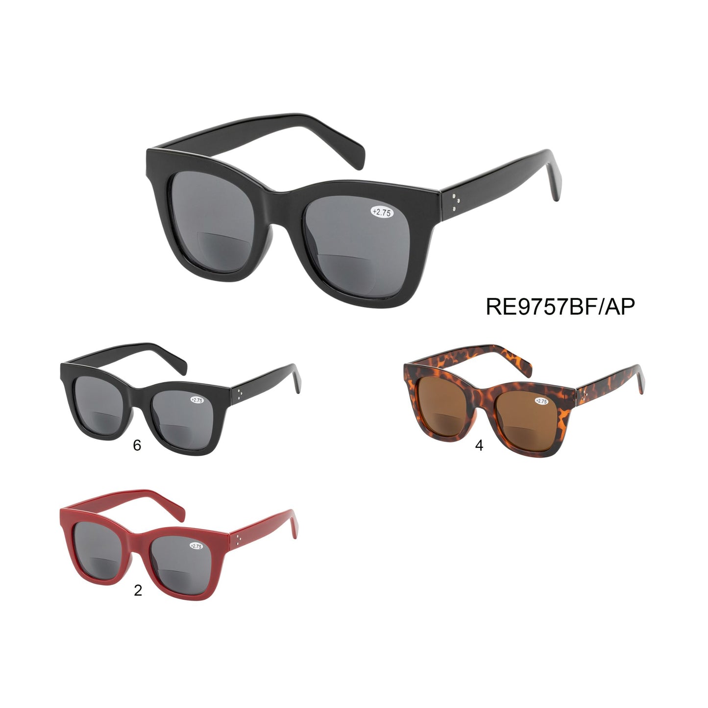 
                  
                    TINTED BIFOCAL | RE9757BF/AP
                  
                