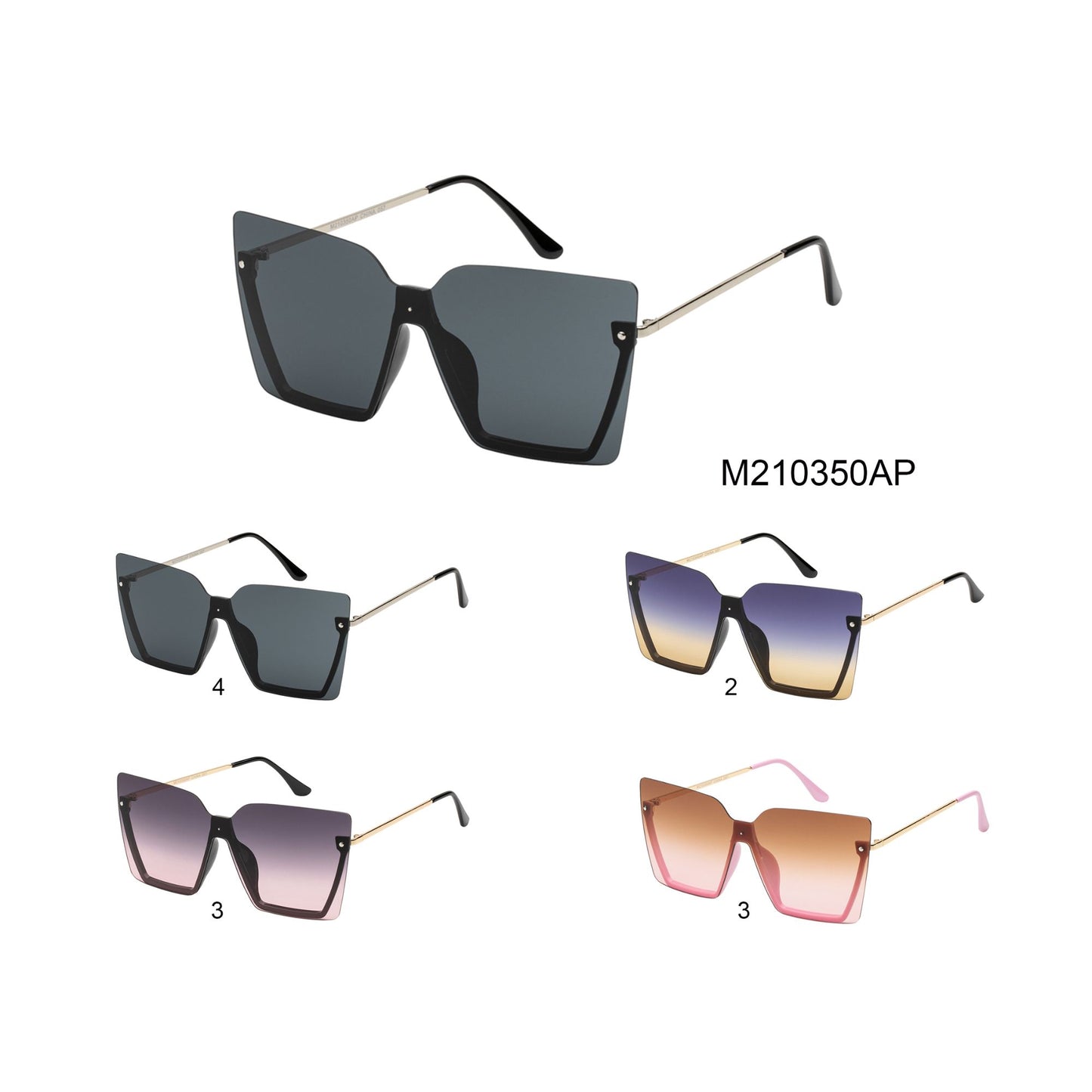 
                  
                    SUNGLASS | M210350AP
                  
                