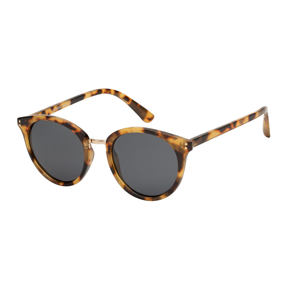 
                  
                    POLARIZED | MP9509POL
                  
                