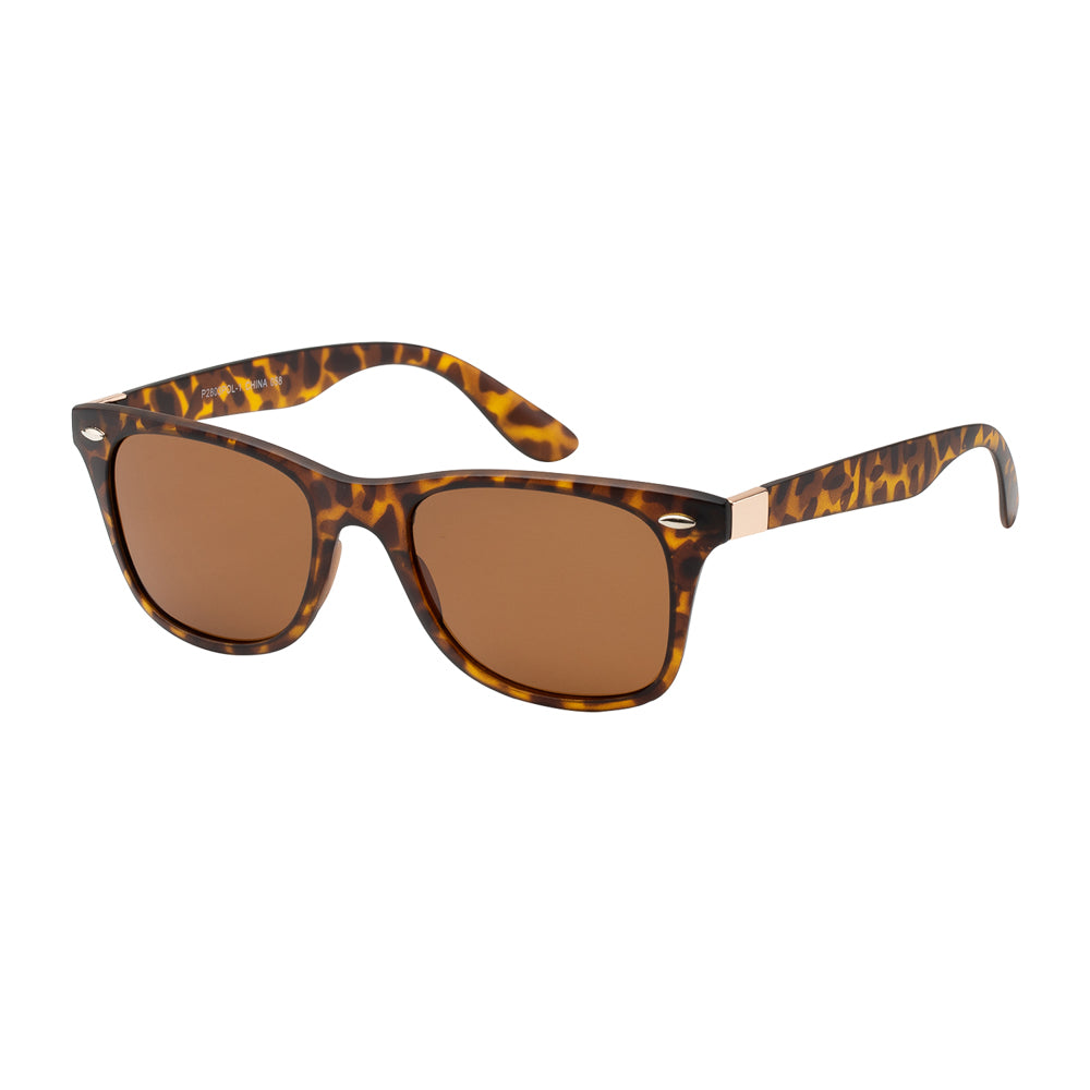 
                  
                    POLARIZED | P2803POL-1
                  
                