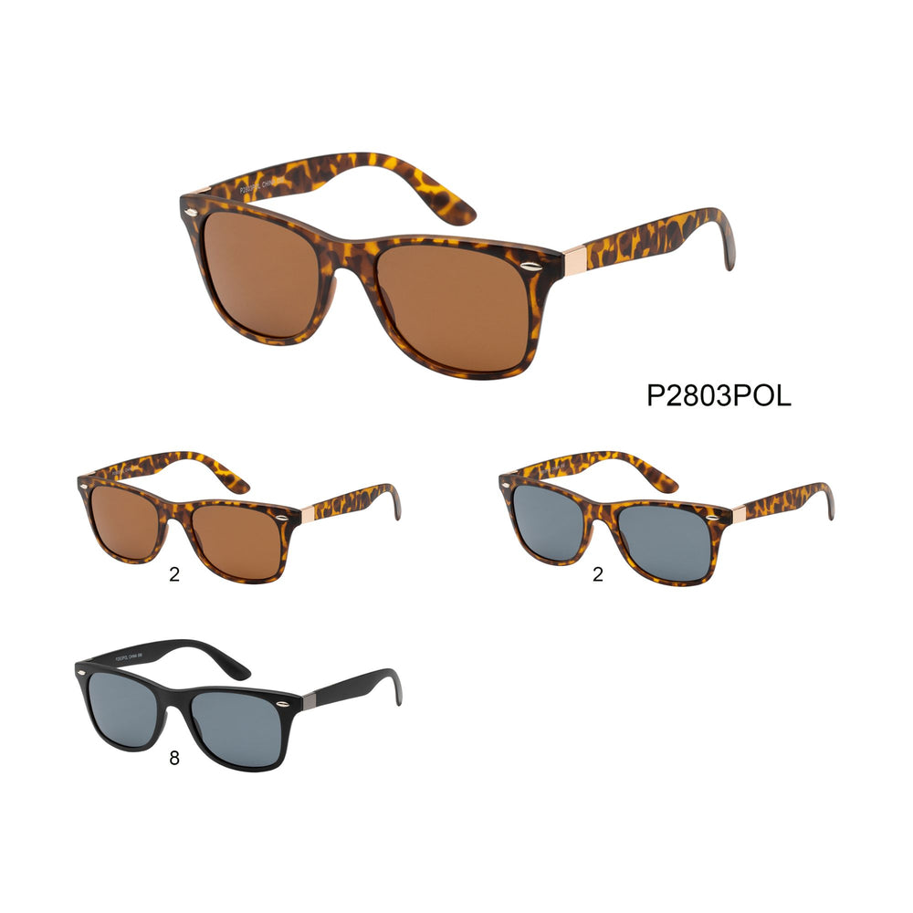 
                  
                    POLARIZED | P2803POL
                  
                