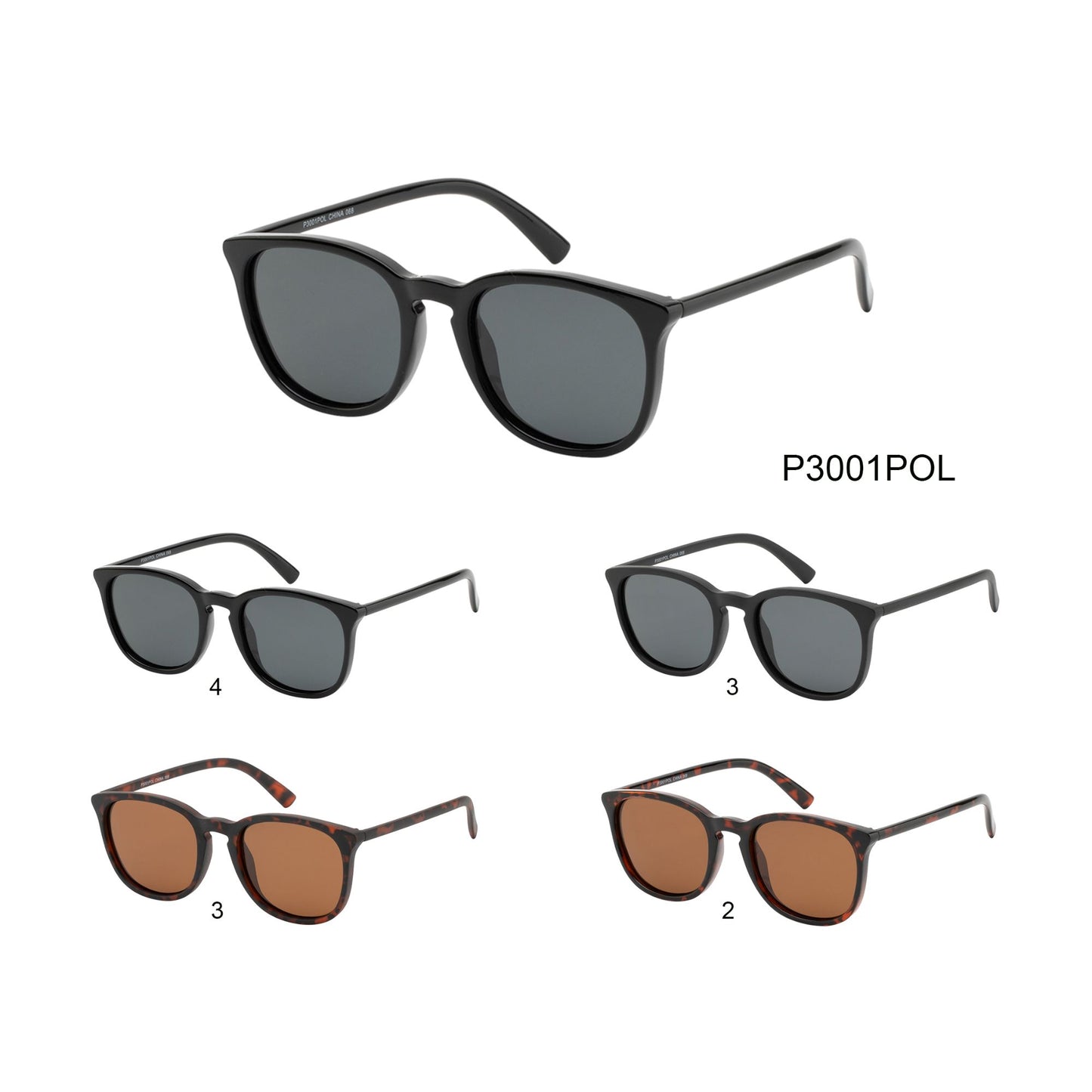 
                  
                    POLARIZED | P3001POL
                  
                