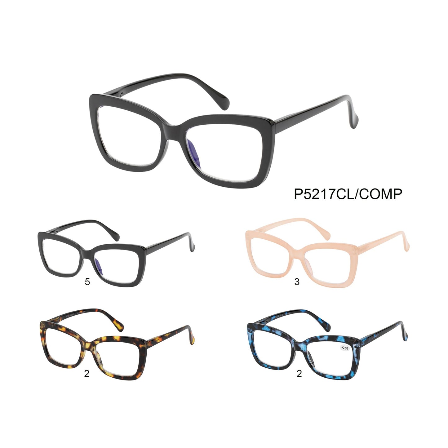 
                  
                    COMPUTER GLASSES | P5217CL/COMP
                  
                
