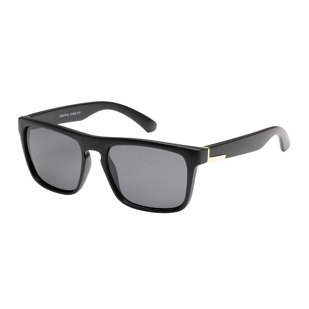 
                  
                    POLARIZED | P6097POL
                  
                