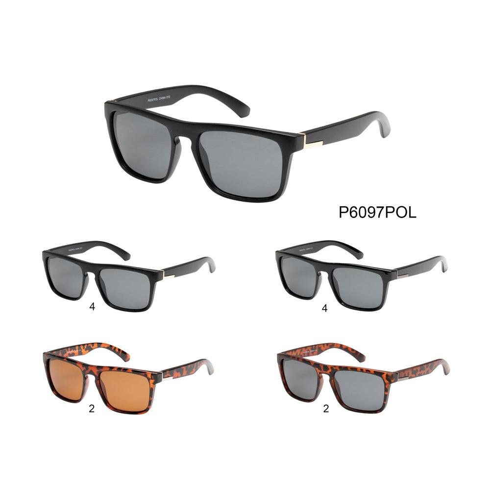 
                  
                    POLARIZED | P6097POL
                  
                