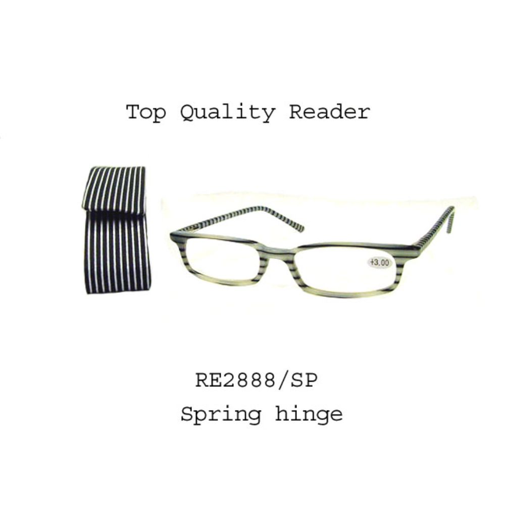 
                  
                    CLEAR READER | RE2888/SP
                  
                